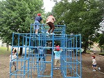 R80612koala6.jpg