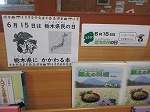 R80615kenminnohi4.jpg