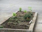 R80622joso4.jpg