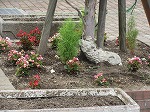 R80622joso5.jpg