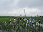 R80629kusatori2.jpg