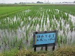 R80629kusatori3.jpg
