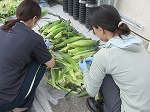 R80709tomorokoshi1.jpg