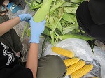 R80709tomorokoshi2.jpg