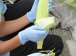 R80709tomorokoshi3.jpg