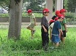 R80714mizuasobi2.jpg