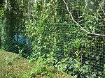 R80807orikaeshi11.jpg
