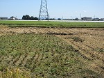 R81008inekari12.jpg