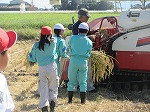 R81008inekari4.jpg