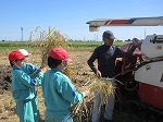 R81008inekari6.jpg