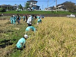 R81008inekari8.jpg
