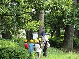 R60606kyoryu6.jpg