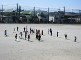 R703173.jpg