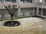 R703191.jpg