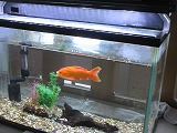 IMG_5103.jpg
