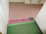 IMG_8561.jpg