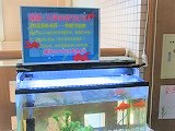 R70407zenjitu4.jpg