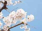 R70408shigyo6.jpg