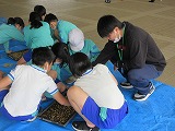 R70428tanemaki7.jpg