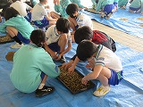 R70428tanemaki8.jpg