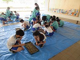 R70428tanemaki9.jpg