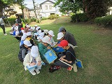 R70501higashimawari3.jpg