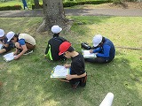 R70501higashimawari5.jpg