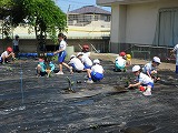 R70508yasai3.jpg