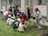 R70519joso6.jpg