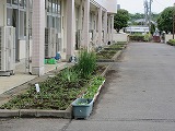 R70519joso9.jpg