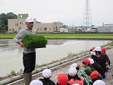 R70526taue1.jpg