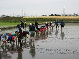 R70526taue13.jpg