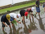 R70526taue14.jpg