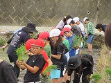 R70526taue3.jpg