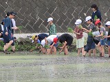 R70526taue6.jpg