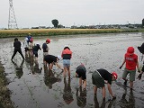 R70526taue7.jpg