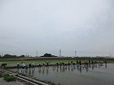 R70526taue9.jpg