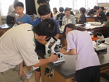 R706196nenrika4.jpg