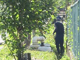 R70623sentei2.jpg