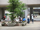 R70623zenkojoso3.jpg