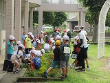 R70630clean3.jpg