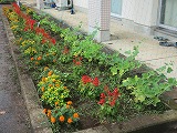 R70714joso8.jpg