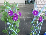 R70718saishubi1.jpg