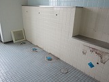 R70729koji2.jpg
