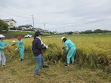 R70926inekari10.jpg