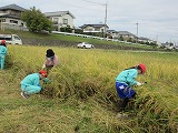 R70926inekari11.jpg