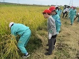 R70926inekari3.jpg