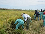R70926inekari6.jpg