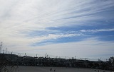R71029kujiragumjo1.jpg