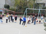 R71105long2.jpg